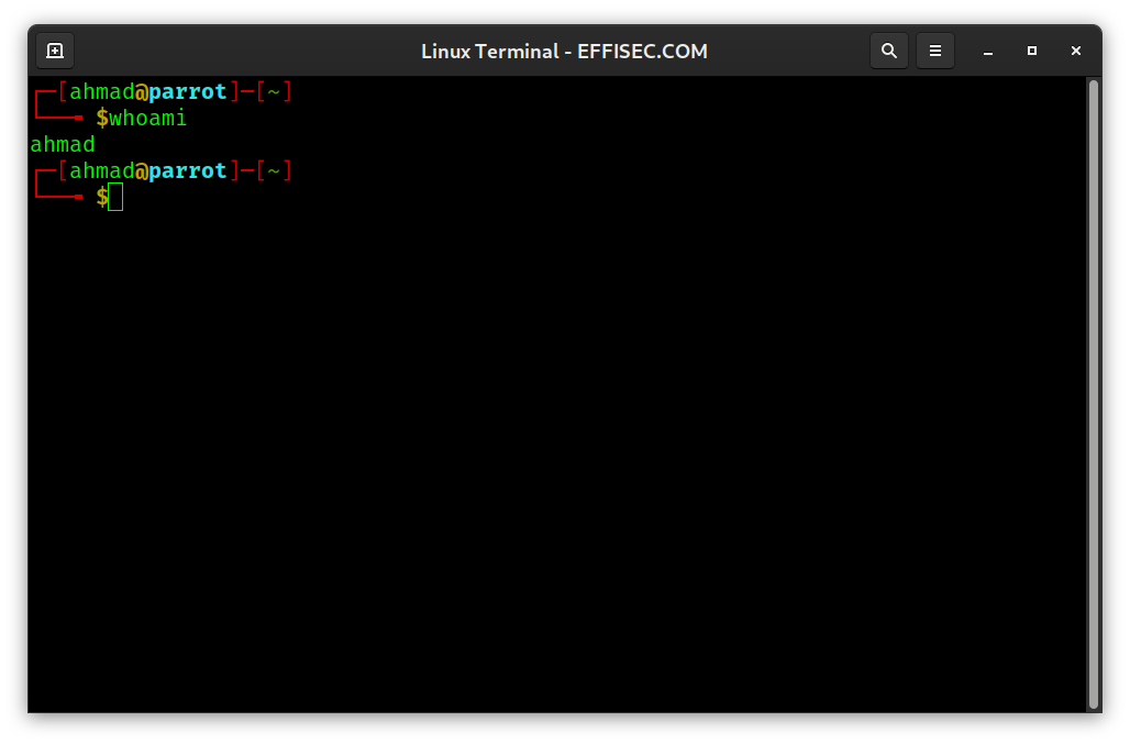 Linux Terminal - whoami