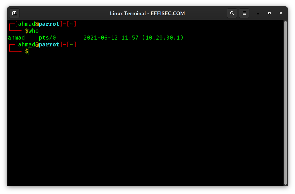 Linux Terminal - who