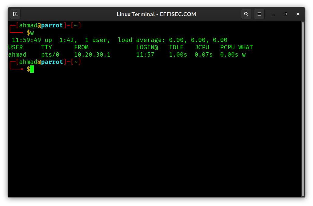 Linux Terminal - w