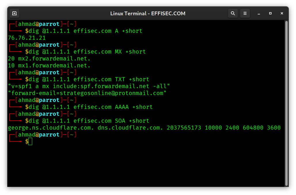Linux Terminal - dig